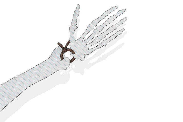 A ligature is meant (ligament) to stop bleeding, but instead it is used to tie these two paper bones together.